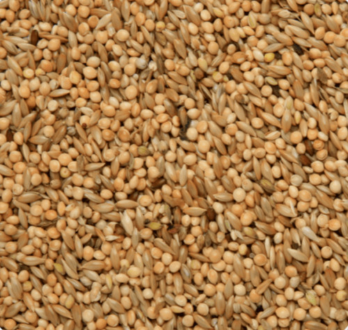 Budgie mixture sky gold - budgie,