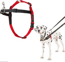 HALTI Front Control Harness, Size Medium, Bestselling Professional Dog Harness 