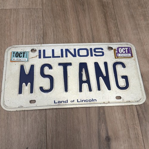Vintage 1980 custom - 1980’s, mstang