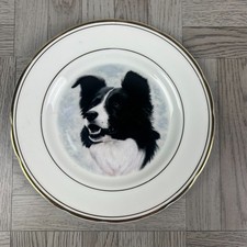 Border Collie - Decorative