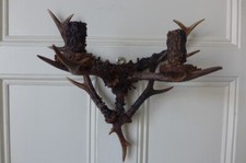 PAIR DOUBLE ROE DEER REAL