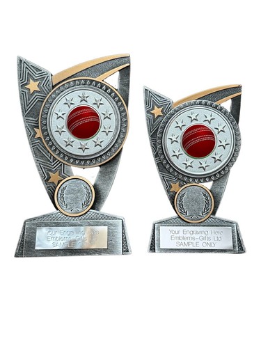 Cricket ball award triumph - ball,