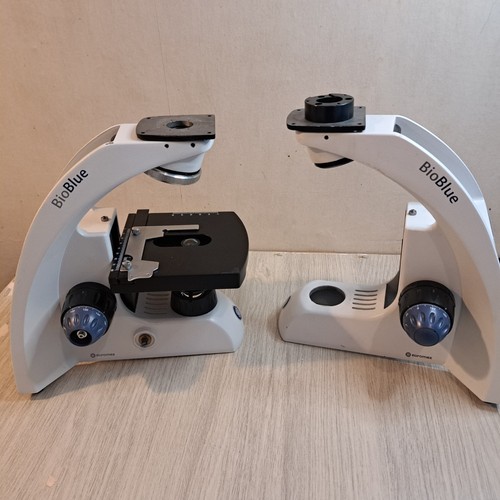 Euromex bioblue lab - 2, x