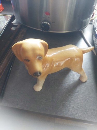Vintage labrador retriever - labrador, dog