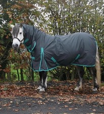 Turnout Rug 100G Mediumweight