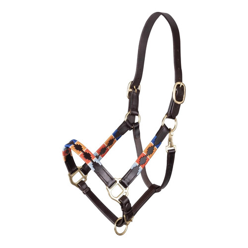 Polo head collar - head, -brown