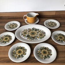 Royal Doulton Platter Side Plates Gravy Jug MCM Retro Forest Flower 70's Floral