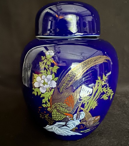 Golden pheasant cobalt - pheasant:,