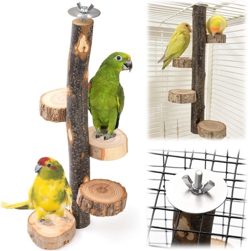 Natural wood bird perch 12 - natural, perch,
