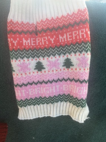 Christmas dog sweater red - christmas,