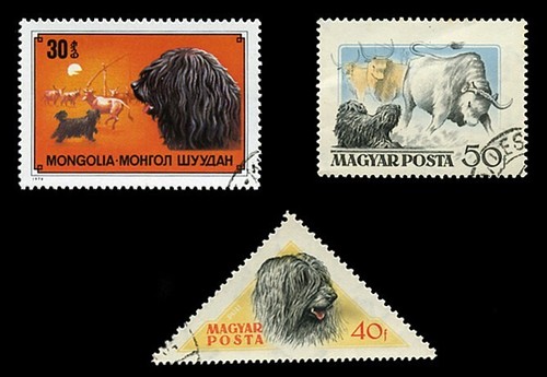 Hungarian puli dog postage - hungarian,