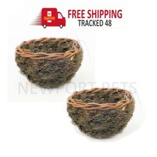 2 x British Finch Canary Pine