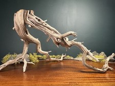 Large 24” Manzanita