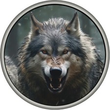 Growling Wolf 4 x 4 spare