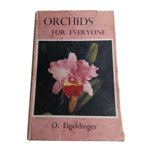 Orchids for everyone - orchids,