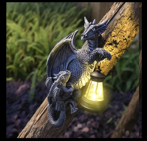 Large dragon tree - hugger, solar