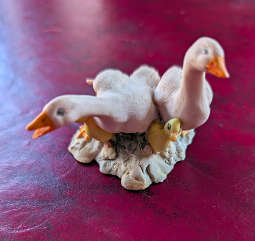 Lowell davis duck - lowell,