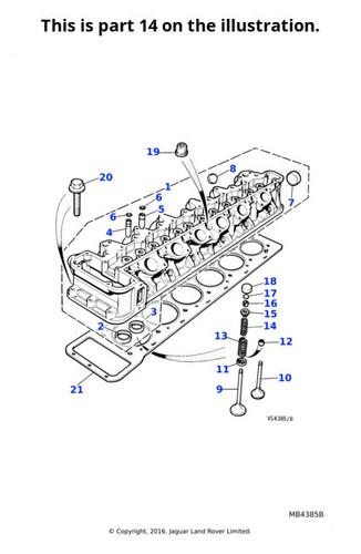 12x jaguar valve - jaguar, spring
