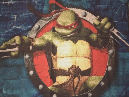Teenage mutant ninja - teenage,