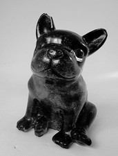 Miniature French bulldog Black