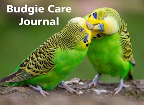 Budgie care journal cute - budgie,