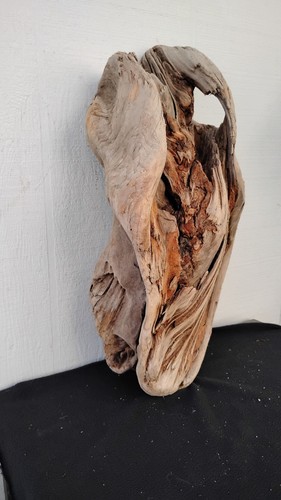 Driftwood with large hole wood - large,
