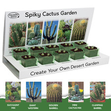 Cactus Seeds | Cactus Growing Kit | Gardening Gift For Women | Men