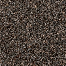 Niger seed premium nijer - niger,