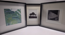 Ikea Ribba Framed Prints x 3 Leaf & Tree Designs 525mm x 525mm MM6