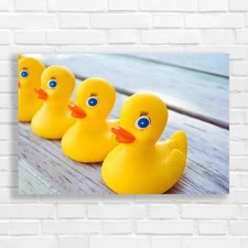 Charming Rubber Ducks For
