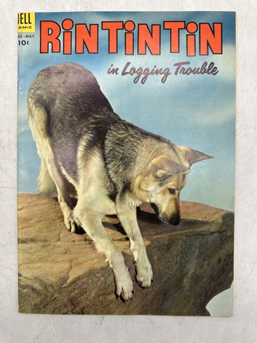 Rin tin logging - in, trouble
