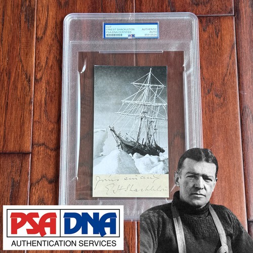 Ernest shackleton polar - shackleton,