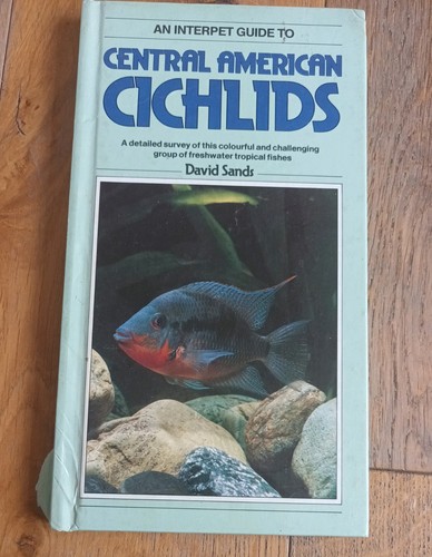 Central american cichlids - central,