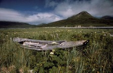 Abandoned in Alaskan Meadow 2