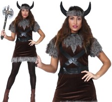 Ladies Viking Lady Fancy Dress
