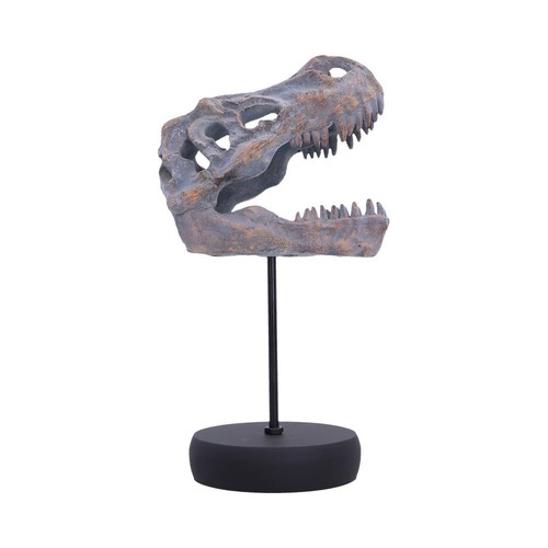 Tyrannosaurus rex skull - skull, on
