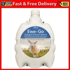 Tyndale Ewe-Go Energy &