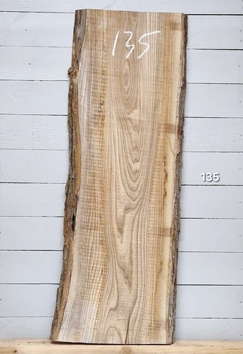 Elm live edge - timber, x