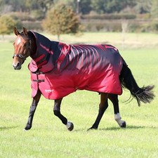 Shires Tempest Original 200g Turnout Combo Rug - Red Skeleton