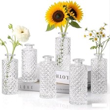 Glass Bud Vases Set of 6