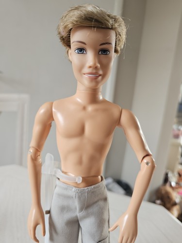 Scen boy doll hudson - boy, fully