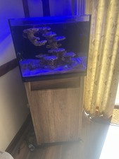 DD Reef Pro 600 Marine Tank Salt Water loads Of Extras LOOK!