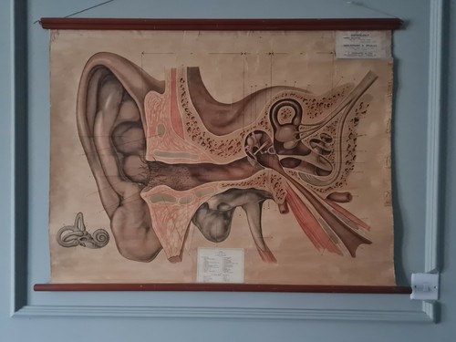 Vintage original antique - vintage,