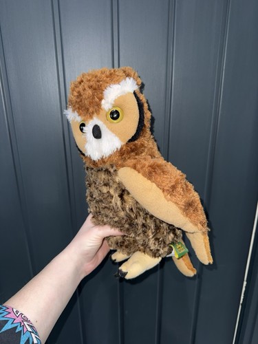 Great horned owl - horned, owl●wild