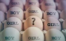 Fertility,Gender,Sexing,Tester For Birds,Hatching Eggs/Chicks Works✅Every Time