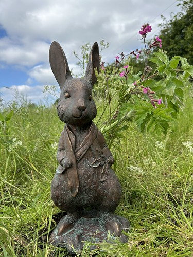 Peter rabbit garden - rabbit,