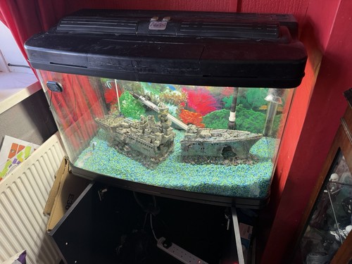 120l aquarium fish tank - aquarium, with