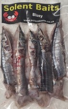 Packs bluey and squid - packs, of