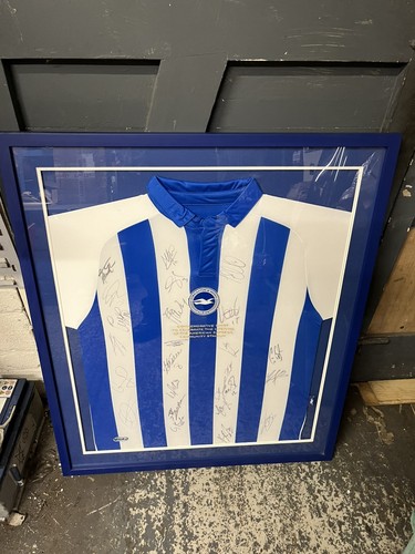 Brighton hove albion - brighton,