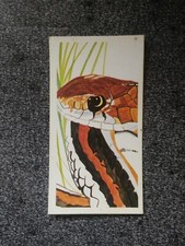 Brooke Bond Tea Card - Vanishing Wildlife No 27 - SFran Garter Snake. 1978. VGC.